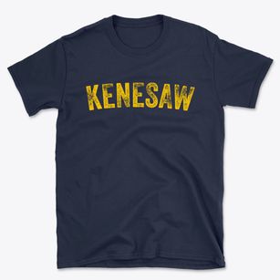 Kenesaw Nebraska Timeless Retro Basic T-Shirt