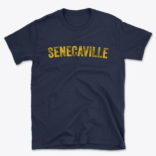 Senecaville Ohio Timeless Retro Basic T-Shirt