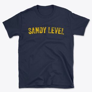 Sandy Level Virginia Timeless Retro Basic T-Shirt