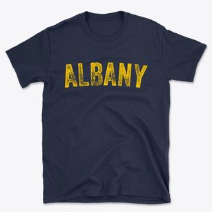 Albany Wyoming Timeless Retro Basic T-Shirt