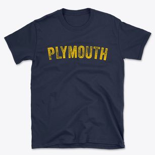 Plymouth Michigan Timeless Retro Basic T-Shirt
