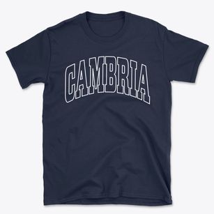 Cambria Wisconsin Trendy Block Basic T-Shirt