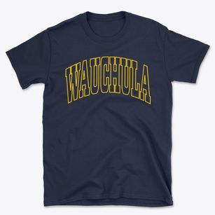Wauchula Florida Trendy Block Basic T-Shirt