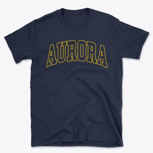 Aurora Wisconsin Trendy Block Basic T-Shirt