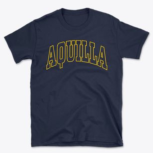 Aquilla Texas Trendy Block Basic T-Shirt