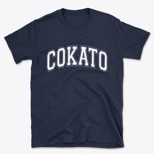 Cokato Minnesota Varsity Basic T-Shirt