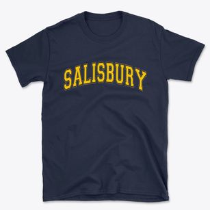 Salisbury New Hampshire Varsity Basic T-Shirt