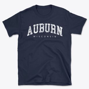 Auburn Wisconsin Urban Vibe Basic T-Shirt