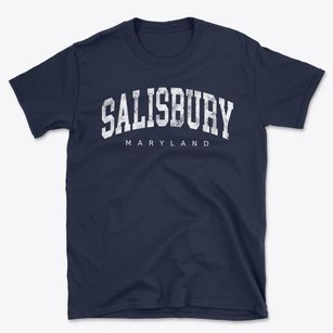 Salisbury Maryland Urban Vibe Basic T-Shirt