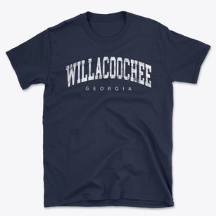 Willacoochee Georgia Urban Vibe Basic T-Shirt