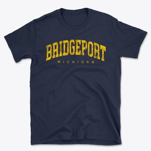 Bridgeport Michigan Urban Vibe Basic T-Shirt
