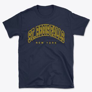 St. Regis Falls New York Inline Basic T-Shirt