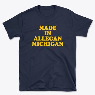 Allegan Michigan Classic 70s Basic T-Shirt