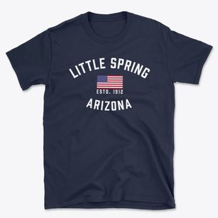 Little Spring Arizona Patriot Basic T-Shirt