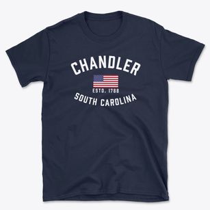 Chandler South Carolina Patriot Basic T-Shirt
