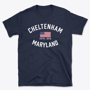 Cheltenham Maryland Patriot Basic T-Shirt