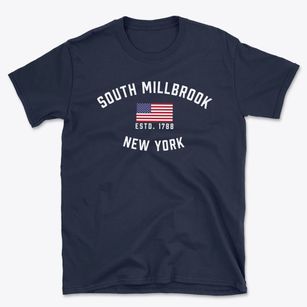 South Millbrook New York Patriot Basic T-Shirt