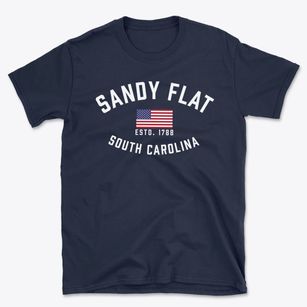 Sandy Flat South Carolina Patriot Basic T-Shirt