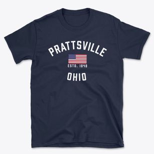Prattsville Ohio Patriot Basic T-Shirt