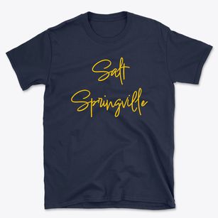 Salt Springville New York Freestyle Basic T-Shirt