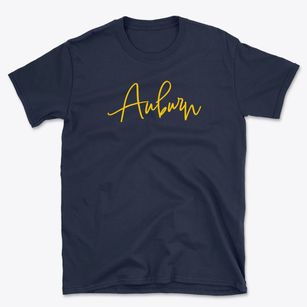 Auburn Wisconsin Freestyle Basic T-Shirt