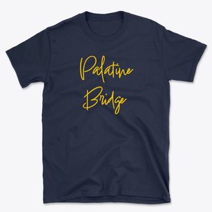 Palatine Bridge New York Freestyle Basic T-Shirt