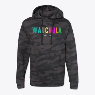 Wauchula Florida Color Pop Cotton Hoodie Sweatshirt
