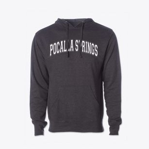 Pocalla Springs Elementary School Varsity Arch Cotton Hoodie Sweatshirt