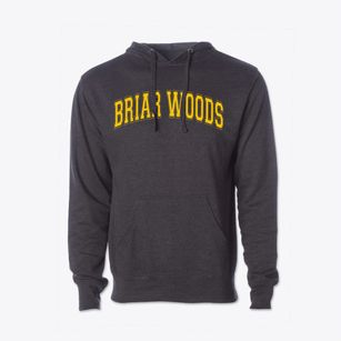Briar Woods High School Varsity Arch Cotton Hoodie Sweatshirt