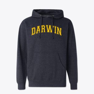 Darwin Elementary School Varsity Arch Cotton Hoodie Sweatshirt