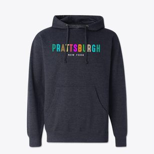 Prattsburgh New York Color Pop Cotton Hoodie Sweatshirt