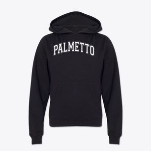 Palmetto Elementary School Varsity Arch Youth Hoodie
