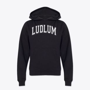 Ludlum Elementary School Varsity Arch Youth Hoodie