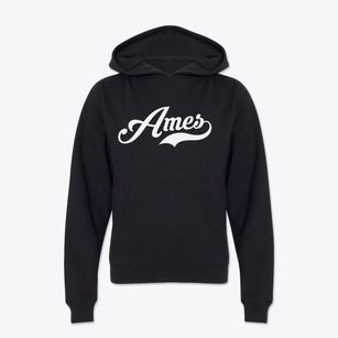 Ames New York Vintage Team Youth Hoodie