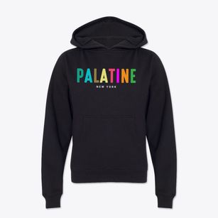 Palatine New York Color Pop Youth Hoodie