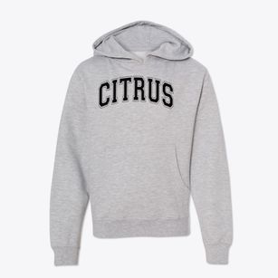 Citrus Elementary School Varsity Arch Youth Hoodie
