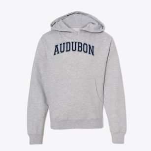 Audubon Elementary School Varsity Arch Youth Hoodie