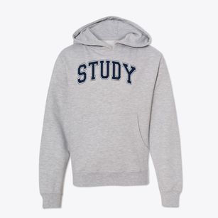 Study Elementary School Varsity Arch Youth Hoodie