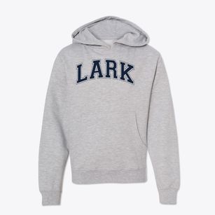 Lark Elementary School Varsity Arch Youth Hoodie