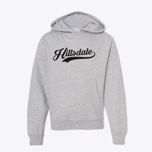 Hillsdale New York Vintage Team Youth Hoodie