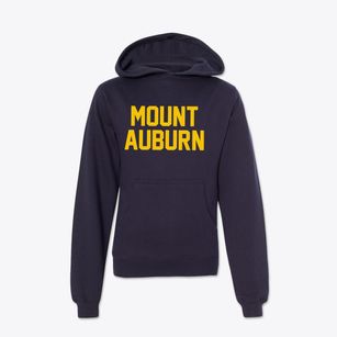 Mount Auburn Indiana Classic Block Youth Hoodie