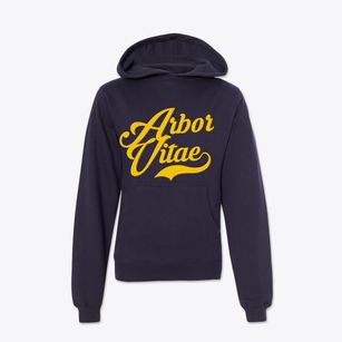 Arbor Vitae Wisconsin Vintage Team Youth Hoodie