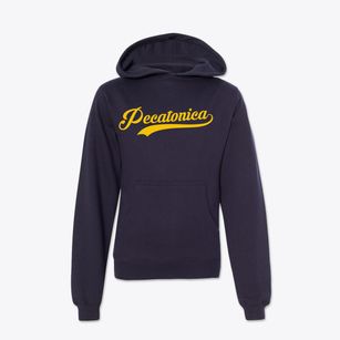 Pecatonica Illinois Vintage Team Youth Hoodie