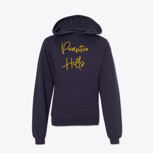 Pocantico Hills New York Freestyle Youth Hoodie