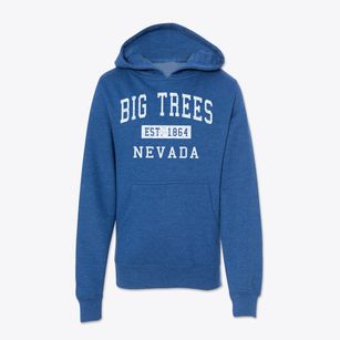 Big Trees Nevada Classic Established Youth Hoodie
