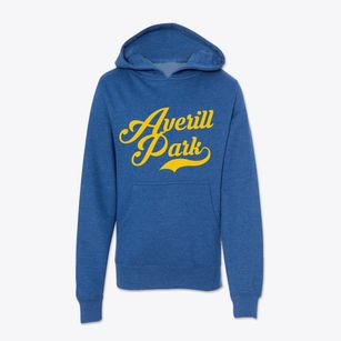 Averill Park New York Vintage Team Youth Hoodie