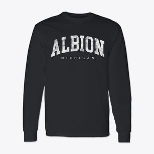 Albion Michigan Urban Vibe Classic Long Sleeve T-Shirt