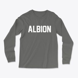 Albion Michigan Classic Block Light Soft Long Sleeve T-Shirt