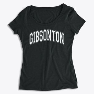 Gibsonton Elementary School Varsity Arch Women's Premium Scoop Neck