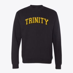 Ps 169 Early Childhood Center Trinity Varsity Arch Crewneck Sweatshirt